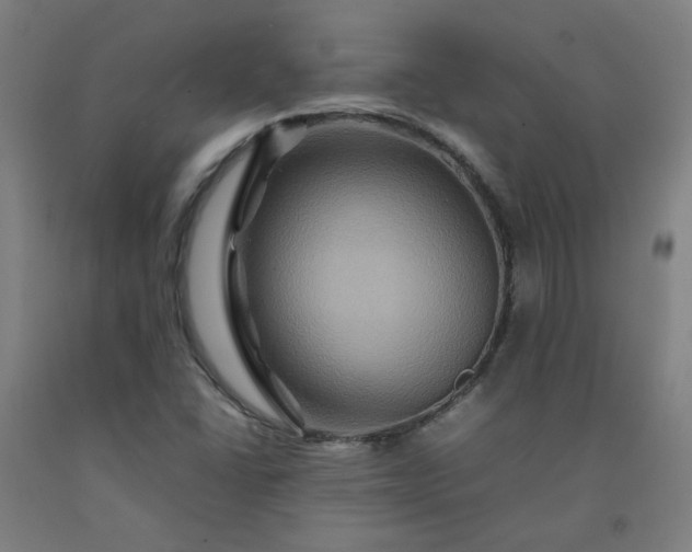 X0000092231406200709281055