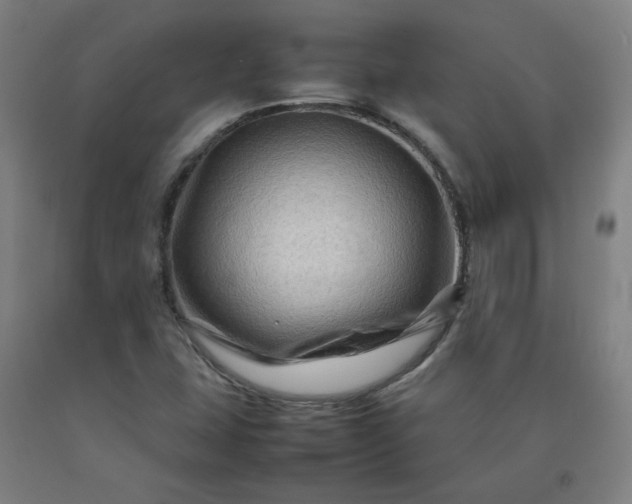 X0000092231407200709281055