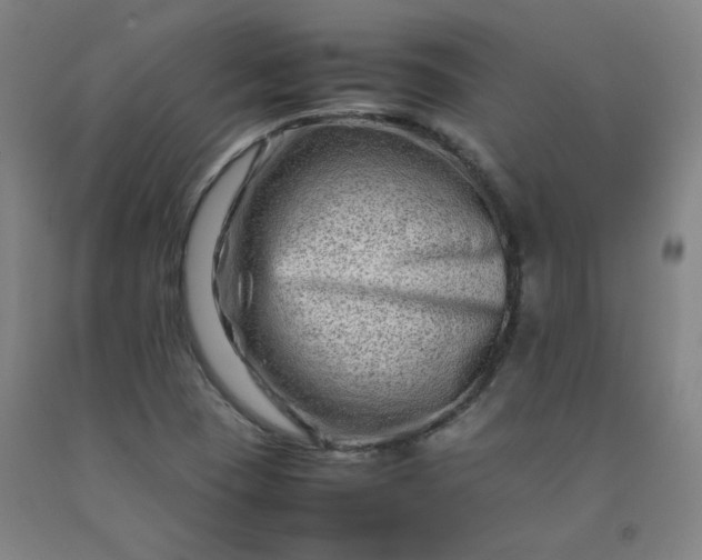 X0000092231409200709281055