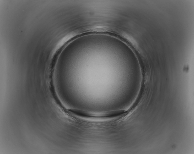 X0000092231410200709281055