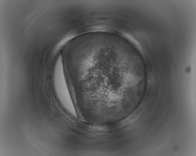 X0000092231411200709281055
