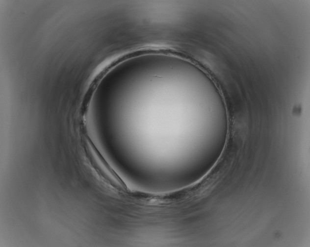 X0000092231412200709281055