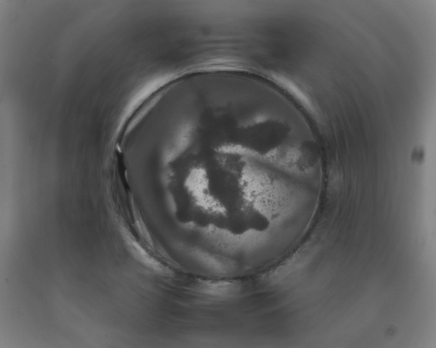 X0000092231413200709281055
