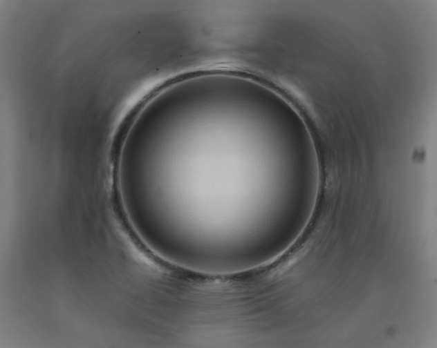 X0000092231414200709281055