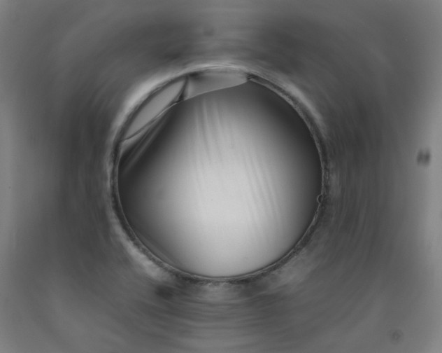 X0000092231416200709281055