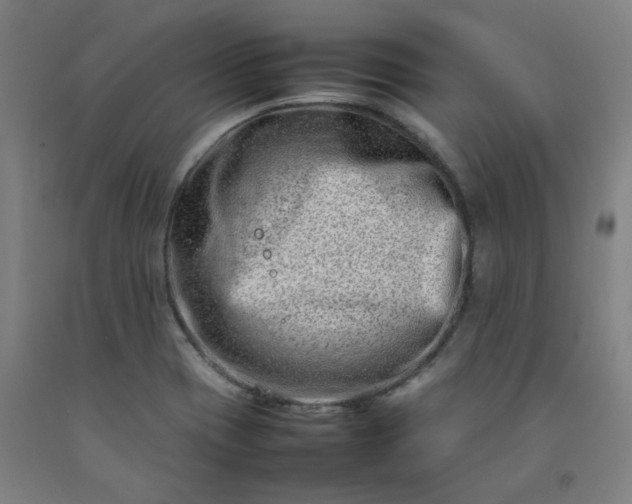 X0000092231417200709281055