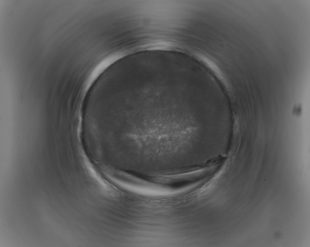 X0000092231418200709281055