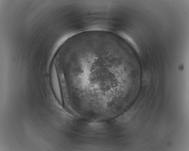 X0000092231419200709281055