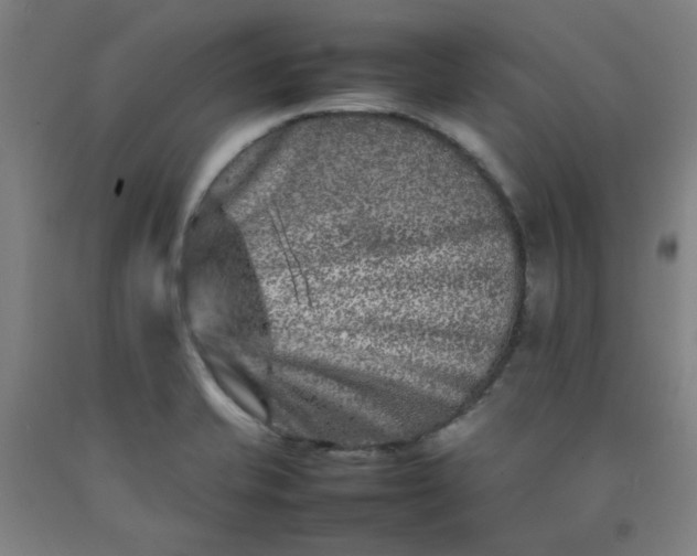 X0000092231421200709281055