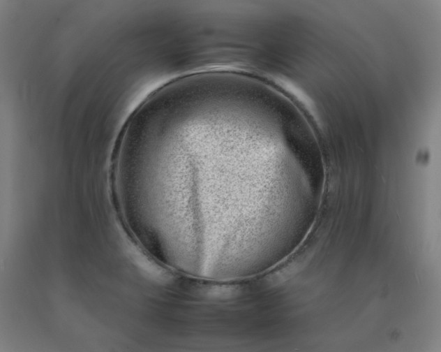 X0000092231423200709281055