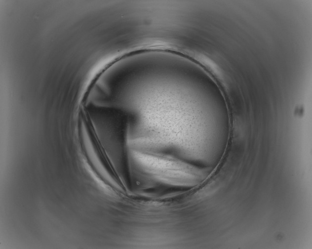X0000092231424200709281055