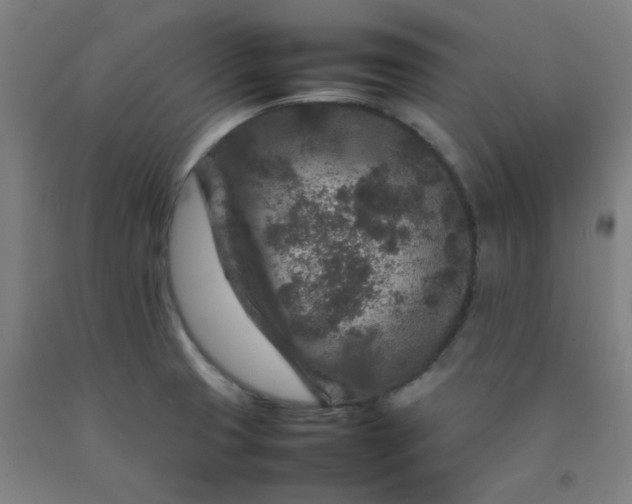 X0000092231425200709281055
