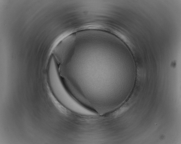 X0000092231426200709281055
