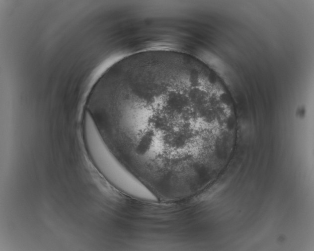 X0000092231427200709281055
