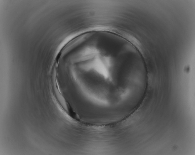 X0000092231428200709281055