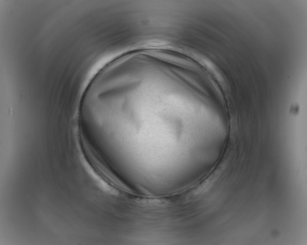 X0000092231432200709281055
