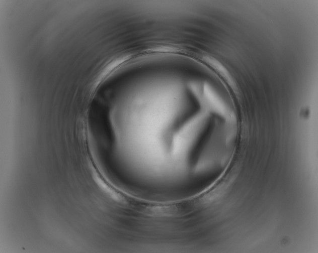 X0000092231433200709281055