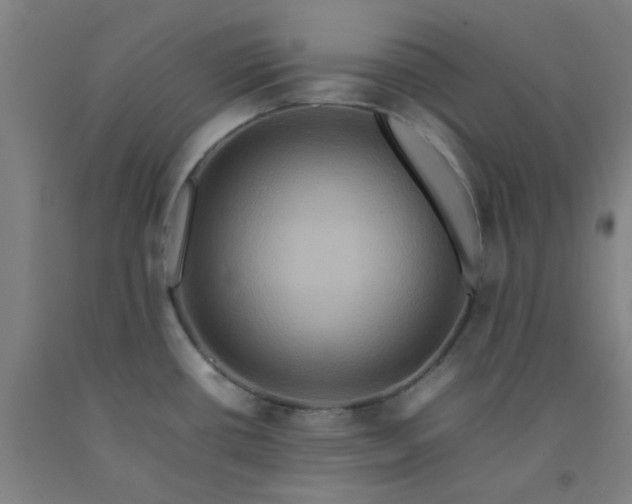 X0000092231434200709281055