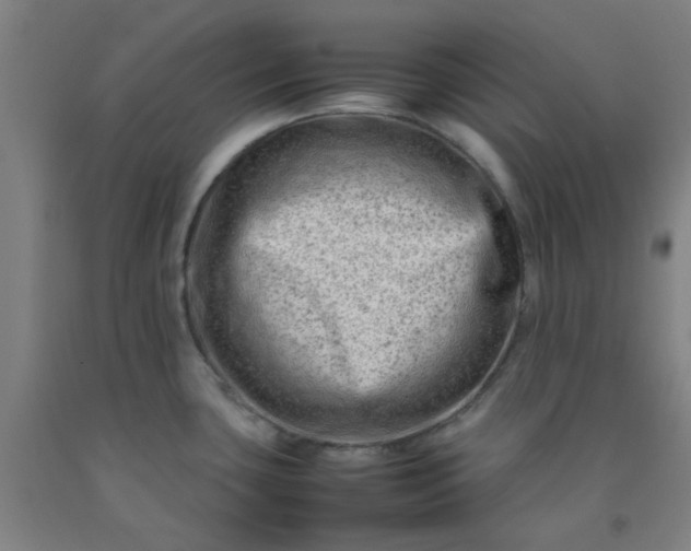 X0000092231435200709281055