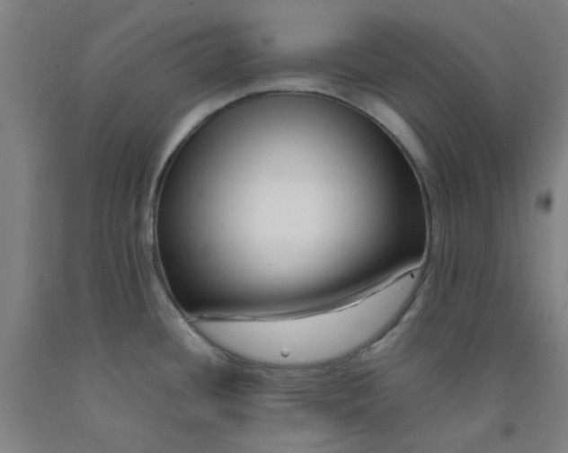 X0000092231436200709281055