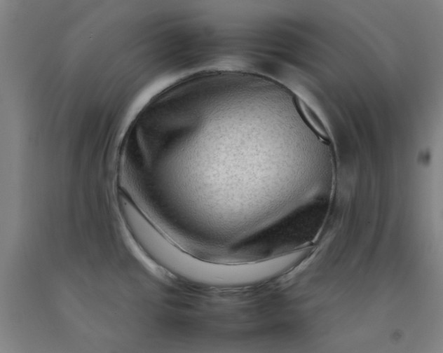 X0000092231437200709281055
