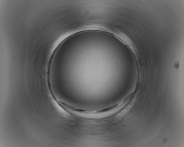 X0000092231438200709281055
