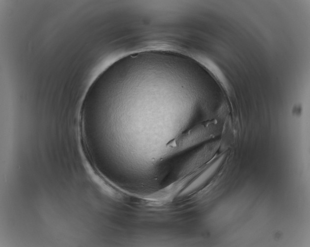 X0000092231439200709281055