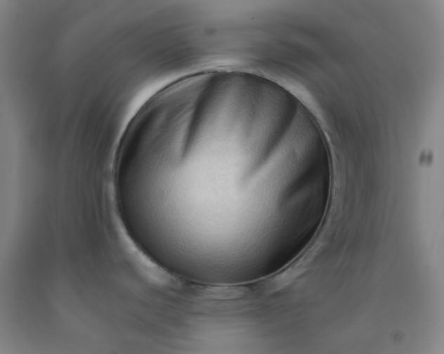 X0000092231440200709281055