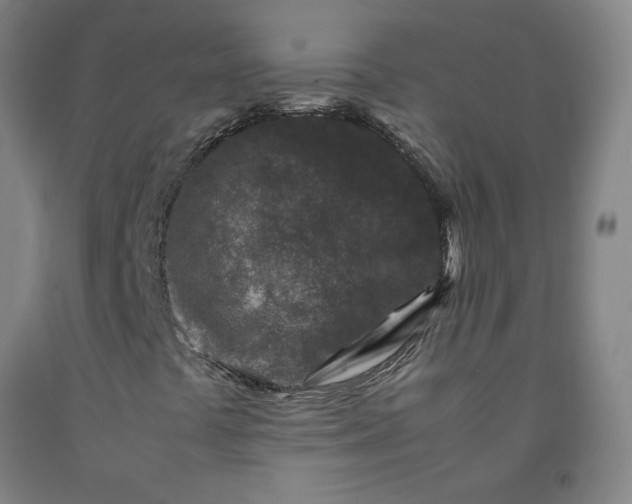 X0000092231441200709281054
