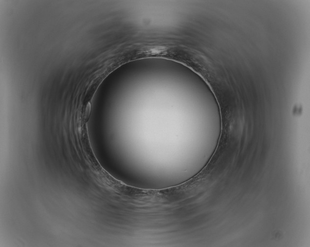 X0000092231442200709281054