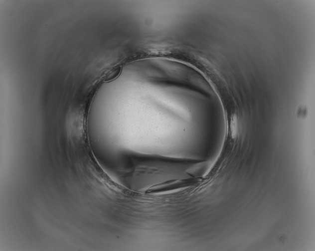 X0000092231444200709281054