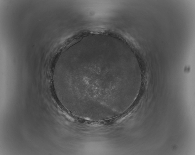 X0000092231445200709281054