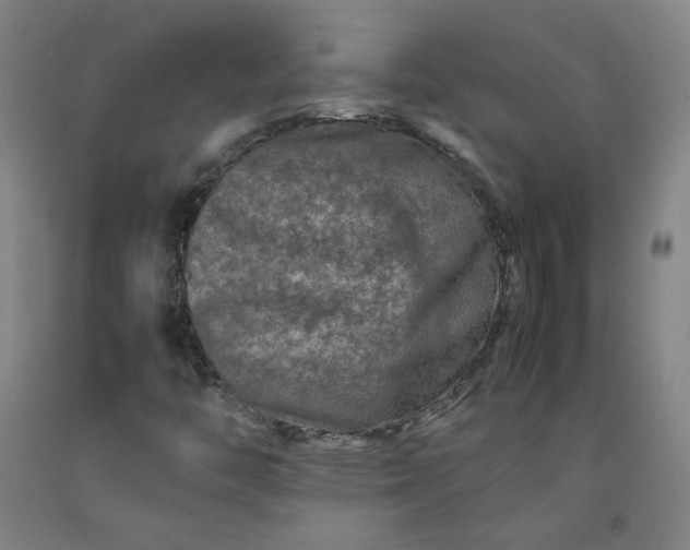 X0000092231446200709281054