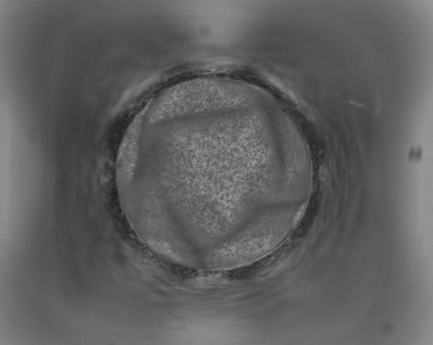 X0000092231447200709281054