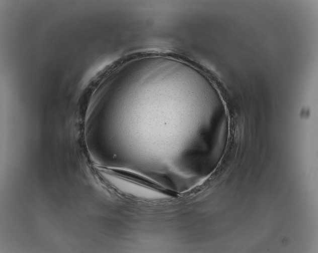X0000092231448200709281054