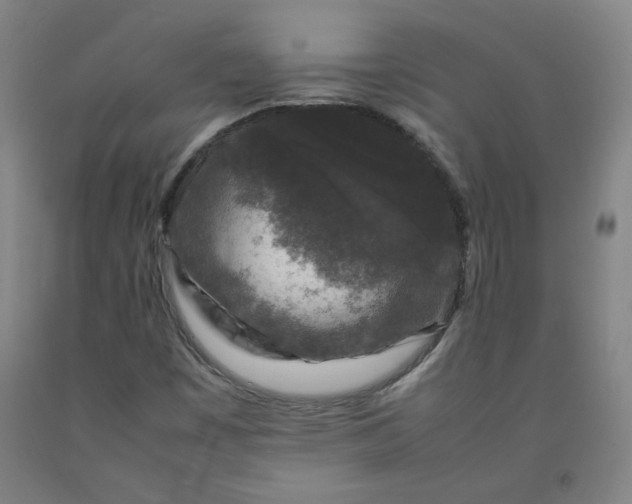 X0000092231449200709281054