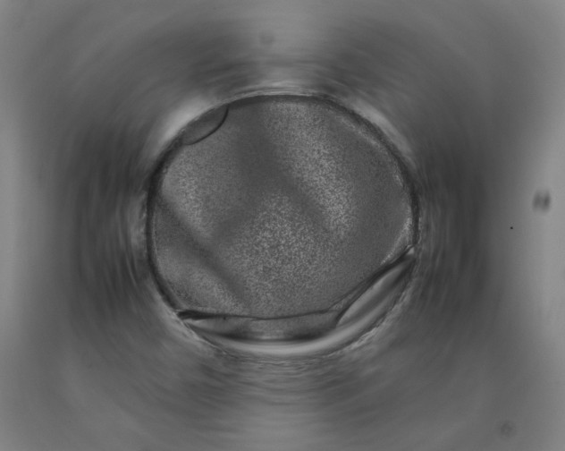 X0000092231450200709281054