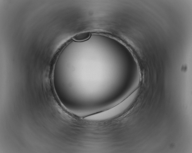 X0000092231452200709281054