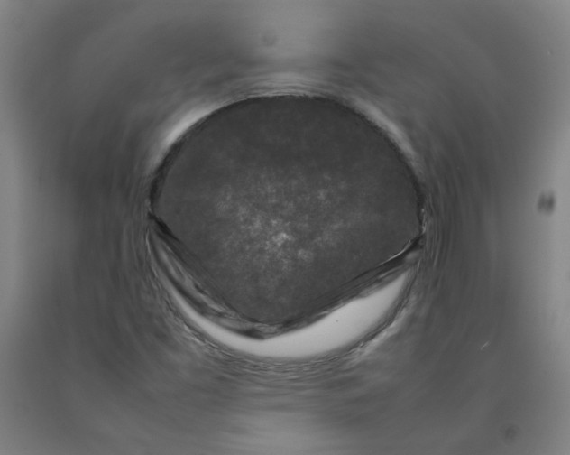 X0000092231453200709281054