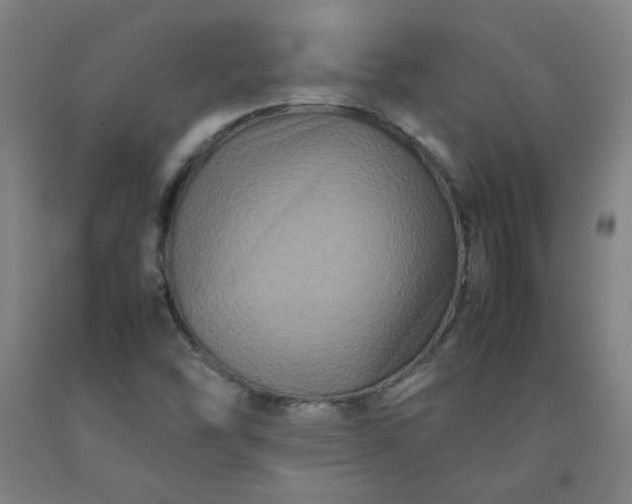 X0000092231454200709281054