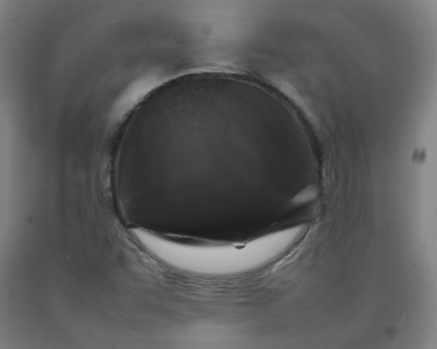 X0000092231455200709281054