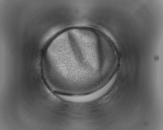 X0000092231456200709281054