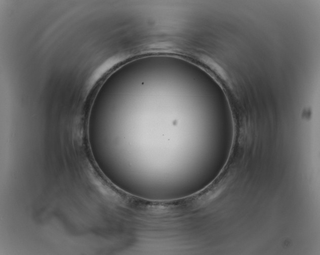 X0000092231458200709281054