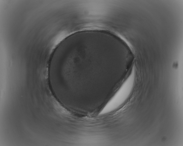 X0000092231459200709281054