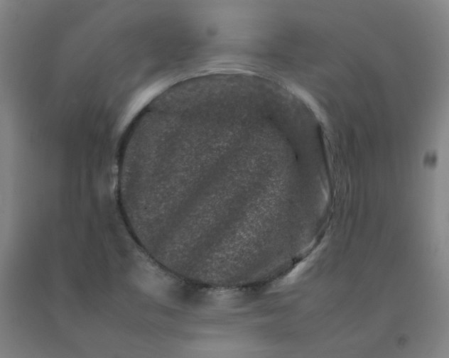 X0000092231461200709281054