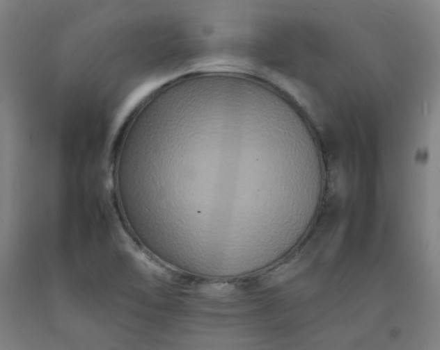 X0000092231462200709281054