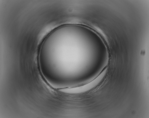 X0000092231464200709281054