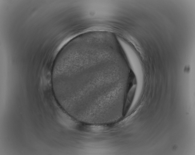 X0000092231465200709281054