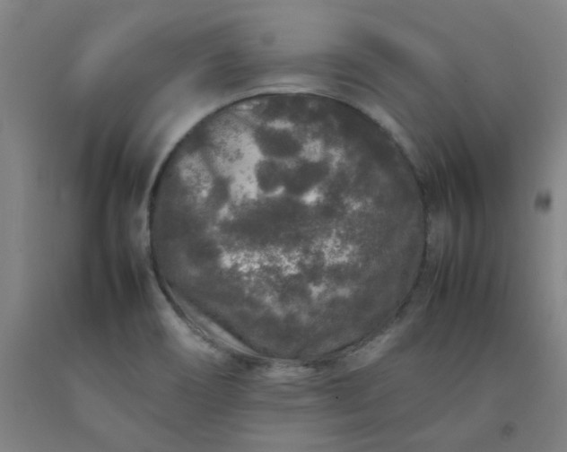 X0000092231466200709281054