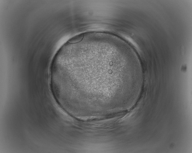 X0000092231467200709281054
